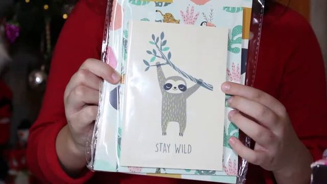 ЦЕЛЫЙ МЕШОК ПОДАРКОВ от ДЕДА МОРОЗА на Новый год 2021! КУКЛЫ LOL Surprise OMG Dolls/ канал каролекк смотреть онлайн