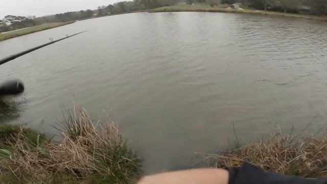 Bass Pro Shops Fish PICKS My LURES Fishing CHALLENGE (BIG FISH CAUGHT!) смотреть онлайн