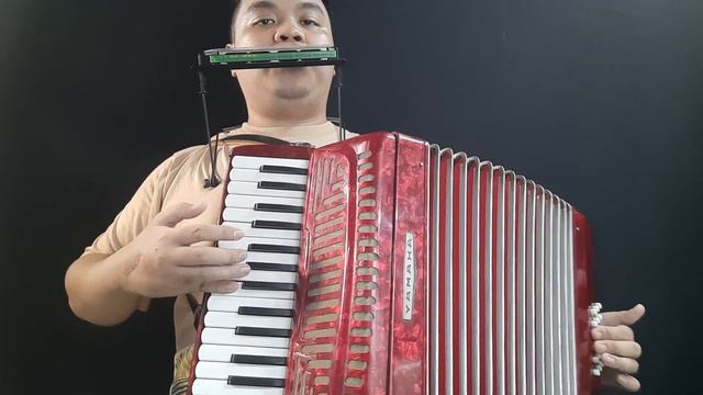 At Calvary | Accordion & Harmonica Duet смотреть онлайн