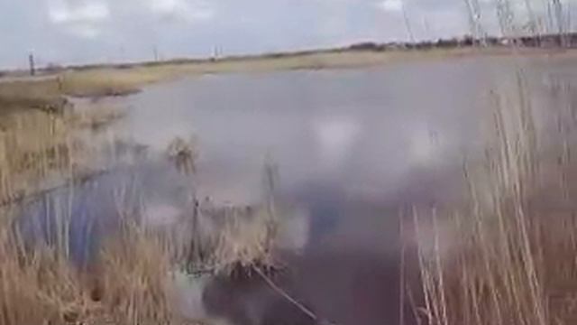 Небольшая щучка на спиннинг на речке смотреть онлайн