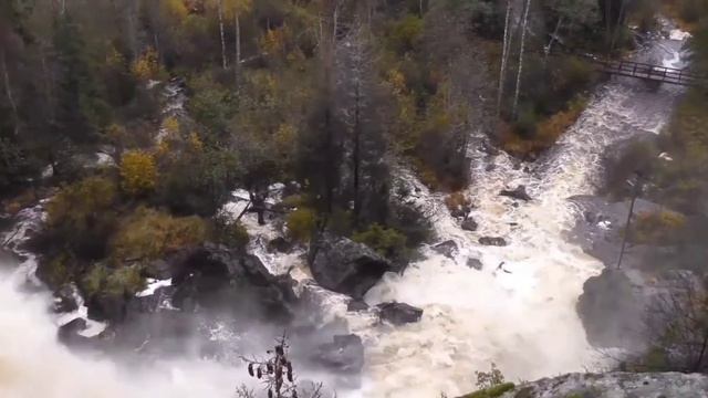 Атмосферное видео. Осень. Любовь к природе и красивая музыка. смотреть онлайн