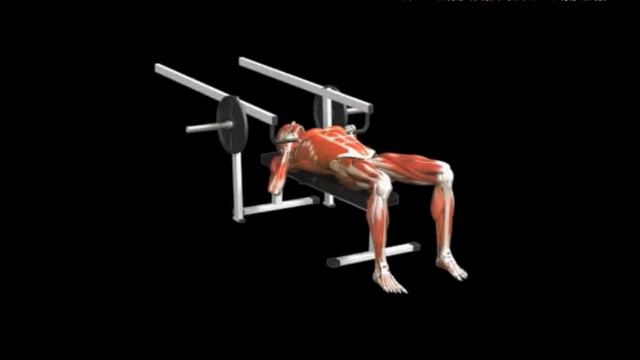 Жим лежа на рычажном тренажере узким хватом Bench press Close grip Lever смотреть онлайн