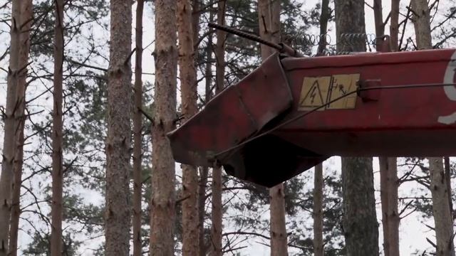 Как подарить новогодней елке вторую жизнь смотреть онлайн