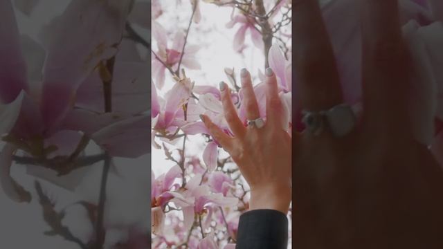 Чудесная весенняя музыка цветов и птиц | Эти звуки успокаивают | #Shorts смотреть онлайн