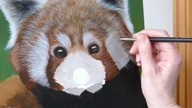 Painting a Red Panda in Acrylic | Realistic Animal Painting смотреть онлайн