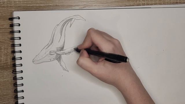 HOW TO DRAW A WHALE!!!КАК НАРИСОВАТЬ КИТА!!! смотреть онлайн