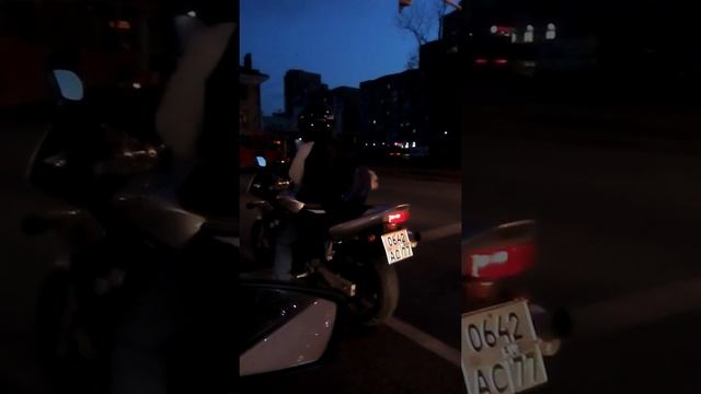 Собачка в сумке байкера смотреть онлайн