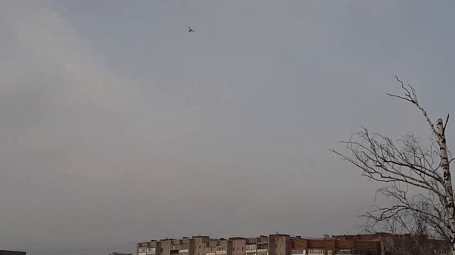 Мороз для гона не помеха... смотреть онлайн