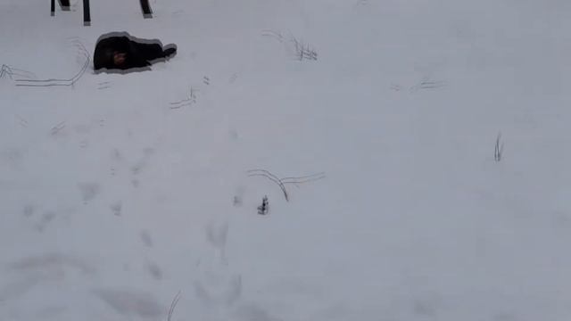 Приедет ли СКОРАЯ ПОМОЩЬ спасать АЛКАША??? смотреть онлайн