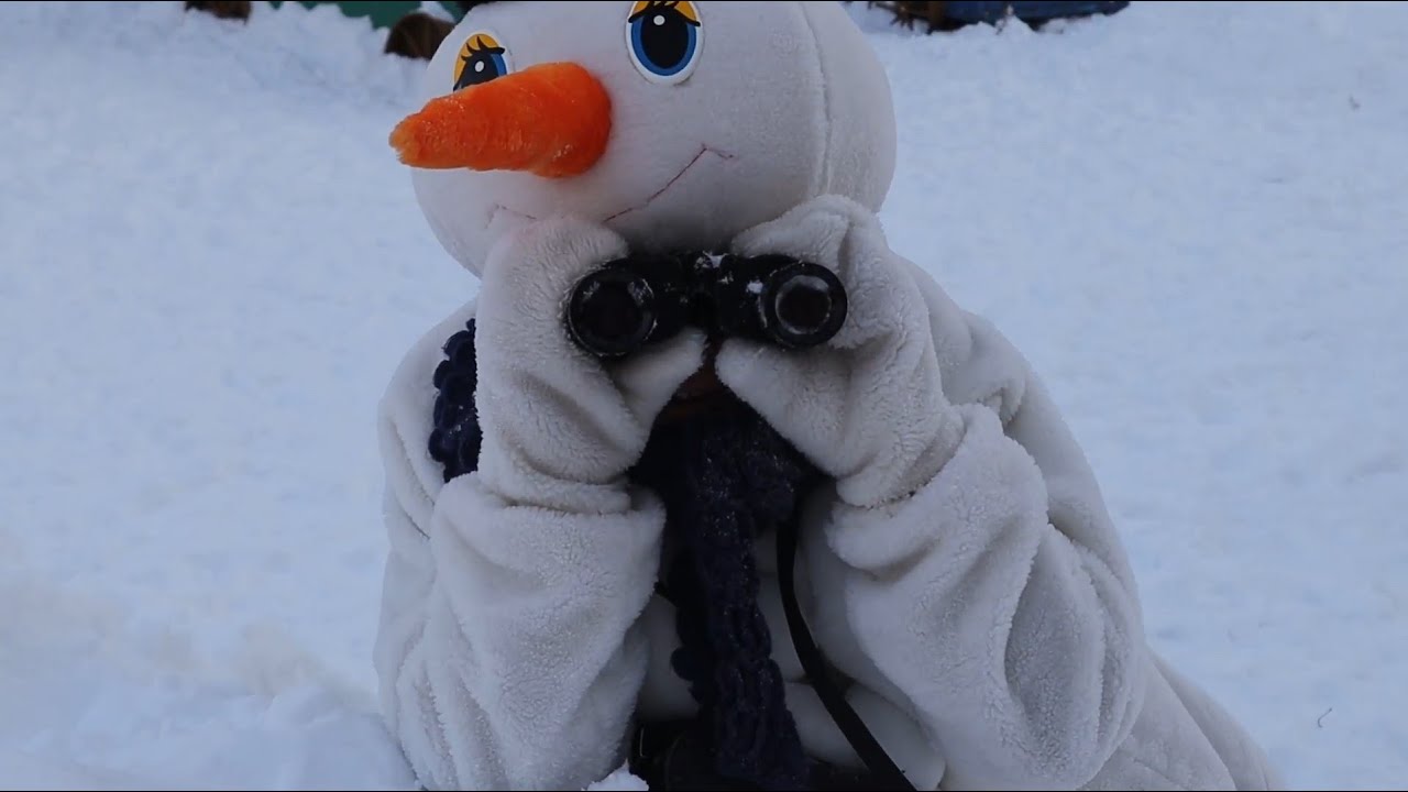 День самоуправления