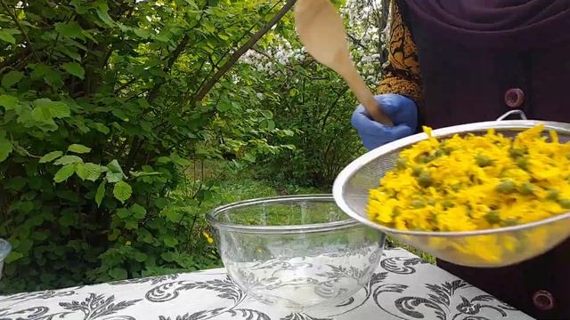 ВЫРАБОТКА ЛЕЧЕБНОГО СИРОПА из ОДУВАНЧИКОВ | MAKING DANDELION HONEY смотреть онлайн
