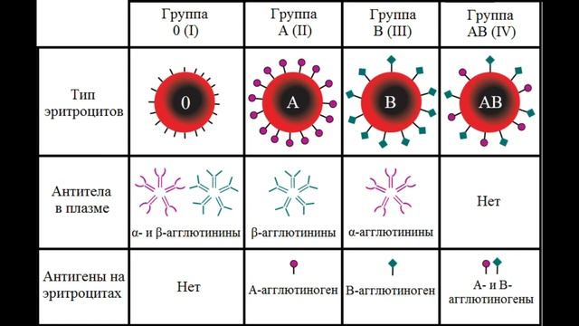 "КРОВНАЯ" Дискриминация В Японии! Знали, что ВАША кровь многое может рассказать о Вас!? смотреть онлайн
