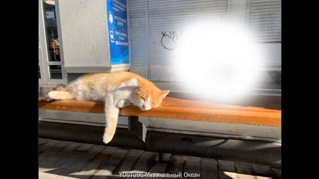 И снится нам не рокот космодрома смотреть онлайн