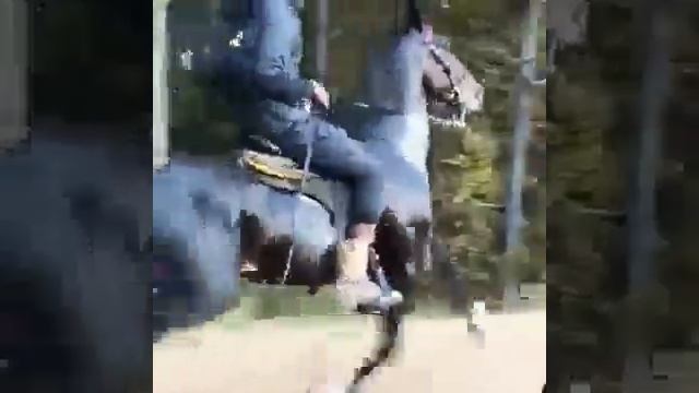 Американский рысак смотреть онлайн