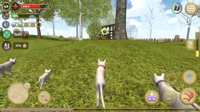 Cat Simulator 2020 #17 (Avelog) | Android Gameplay HD смотреть онлайн