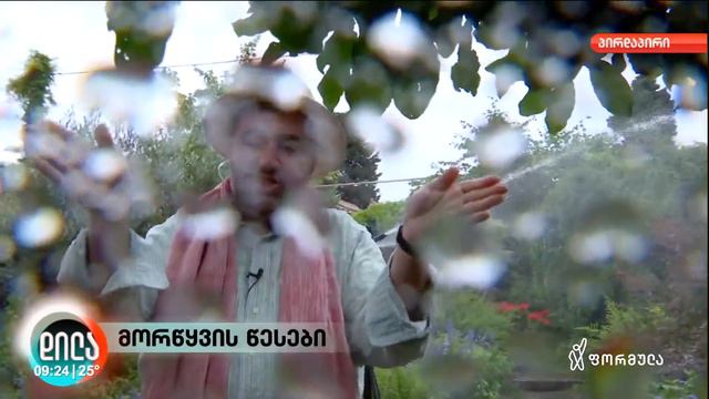 ზურა შევარდნაძე - მორწყვის წესები