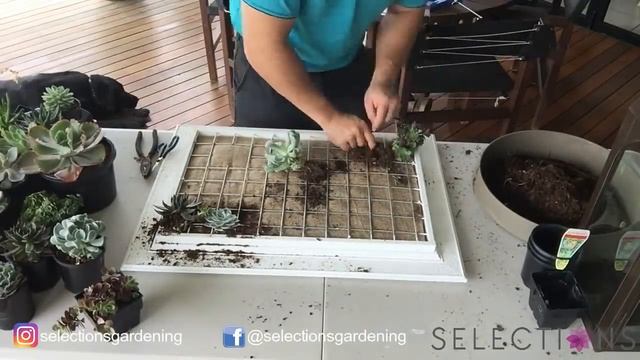 Living wall art смотреть онлайн