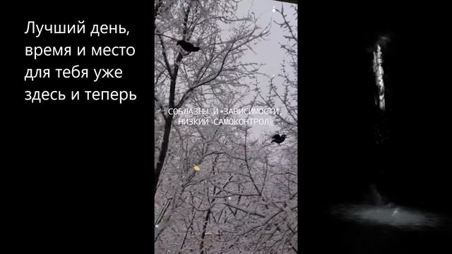 #Отзыв на #книгу #Победи #депрессию прежде, чем #она #победит #тебя смотреть онлайн