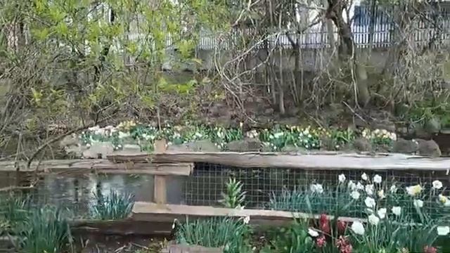 Наушники переводчик Timekettle WT2 Edge/W3 та неудачна Рибалка Канада