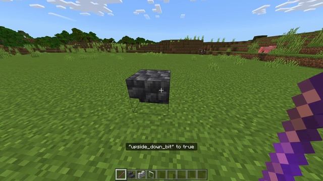 How to Get Java Debug Stick in MCPE 1.17! - Minecraft Bedrock Edition ( Debug Stick ) смотреть онлайн