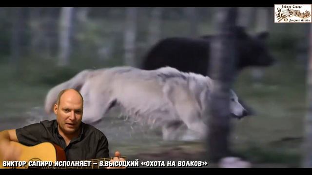 Виктор Сапиро исполняет – В.Высоцкий «Охота на волков» смотреть онлайн