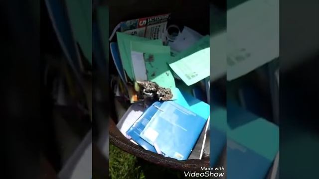 Сжигаем учебники ///прощай ад ) смотреть онлайн