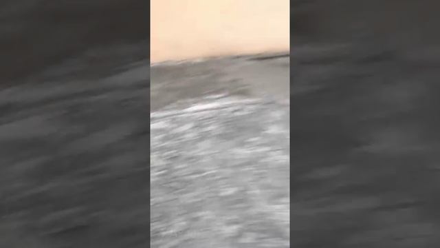 ?? Жизнь детей в прифронтовых районах ДНР. • PUTIN TG TEAM (https://t.me/+-Z2e57KbLpM1MDg6) - По смотреть онлайн