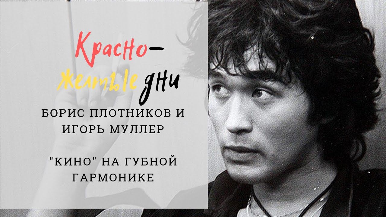 Борис Плотников и Игорь Муллер - Красно-желтые дни (Кино harmonica cover) смотреть онлайн