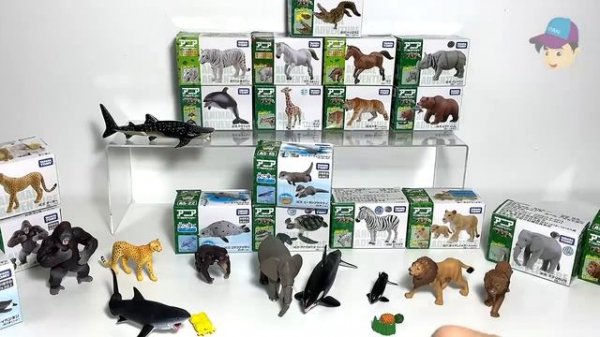 24 SEA ANIMALS, WILD ANIMALS, ZOO ANIMALS - Takara Tomy Ania animal toy collection