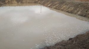 Пруд для разведения карпа!