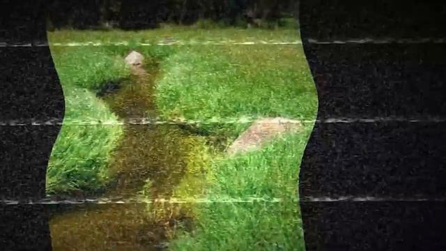 SCP 006 Фонтан молодости смотреть онлайн