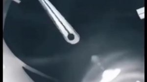 легендарный фраза из джо джо Made in haven