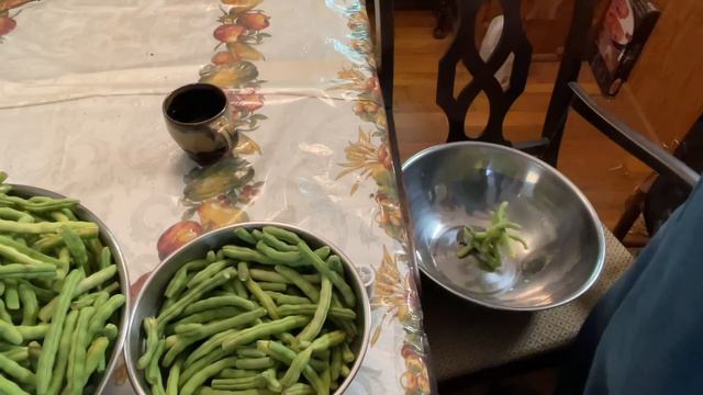 Drying Beans In Appalachia v244 смотреть онлайн