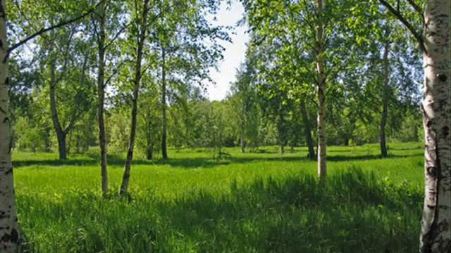 Архангельск.wmv смотреть онлайн