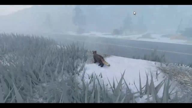 Экскурсия по карте Котов воителей в Роблокс смотреть онлайн