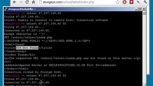 Telnetting to a Web Server смотреть онлайн
