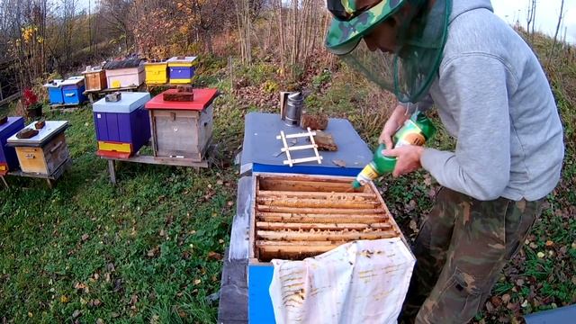 ликвидация клеща варроа... смотреть онлайн
