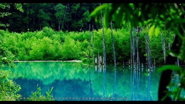 【Улучшение отношений】 Музыка с волной 396 Гц / 【Improving Relationships】Music with a 396 Hz Wave смотреть онлайн