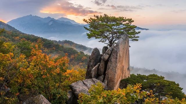 Картинка горы. Осень, утро, скала, рассвет, туман, холмы, сосна, горы | Picture of the mountain смотреть онлайн