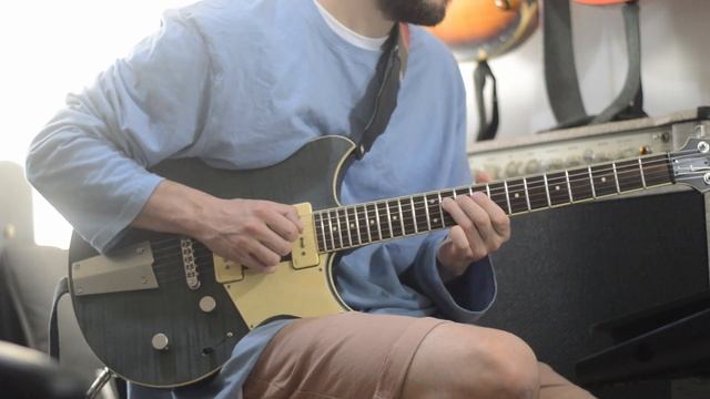 Morgan PX50 Dumble Clone Kemper Profiles смотреть онлайн