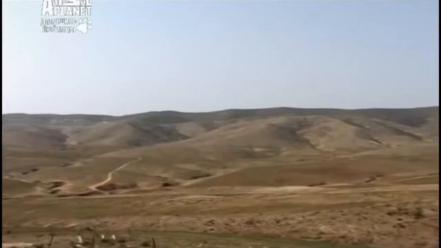 Ханаанская собака смотреть онлайн