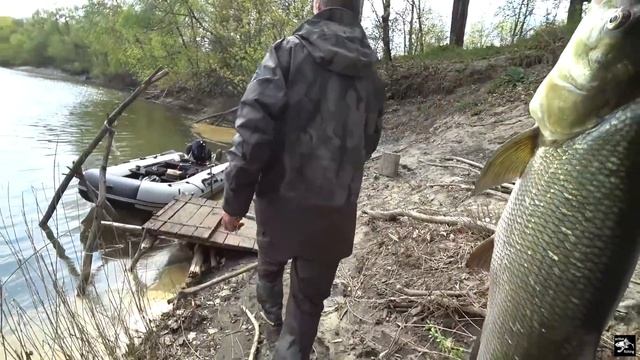 ТРОФЕЙНАЯ РЫБАЛКА!!! КЛЮНУЛА ГРОМАДНАЯ РЫБА В МАЛЕНЬКОЙ РЕЧКЕ!!! Рыбалка на спиннинг. смотреть онлайн