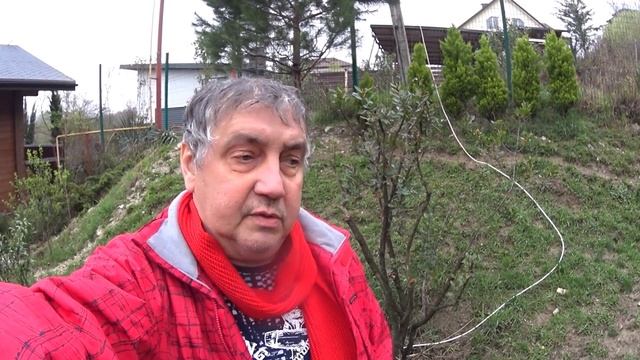 Спасение Каштана смотреть онлайн