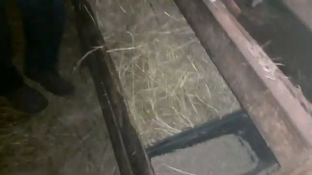 Стартовый корм для телят. смотреть онлайн