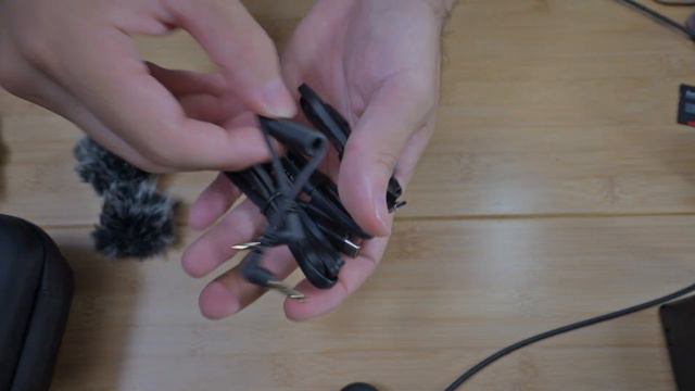 【HOLLYLAND LARK MAX】海沿いでノイズキャンセリングの実力を試す【ワイヤレスマイク】 смотреть онлайн