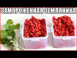 Как заморозить землянику с сахаром на зиму