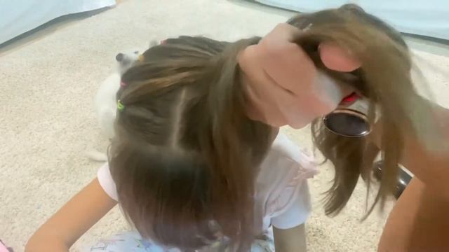 Прическа из резинок. Красивая прическа в школу, в садик смотреть онлайн