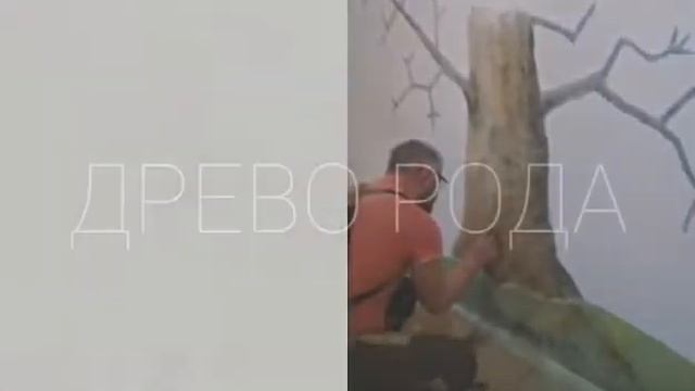 Древо рода 2 смотреть онлайн