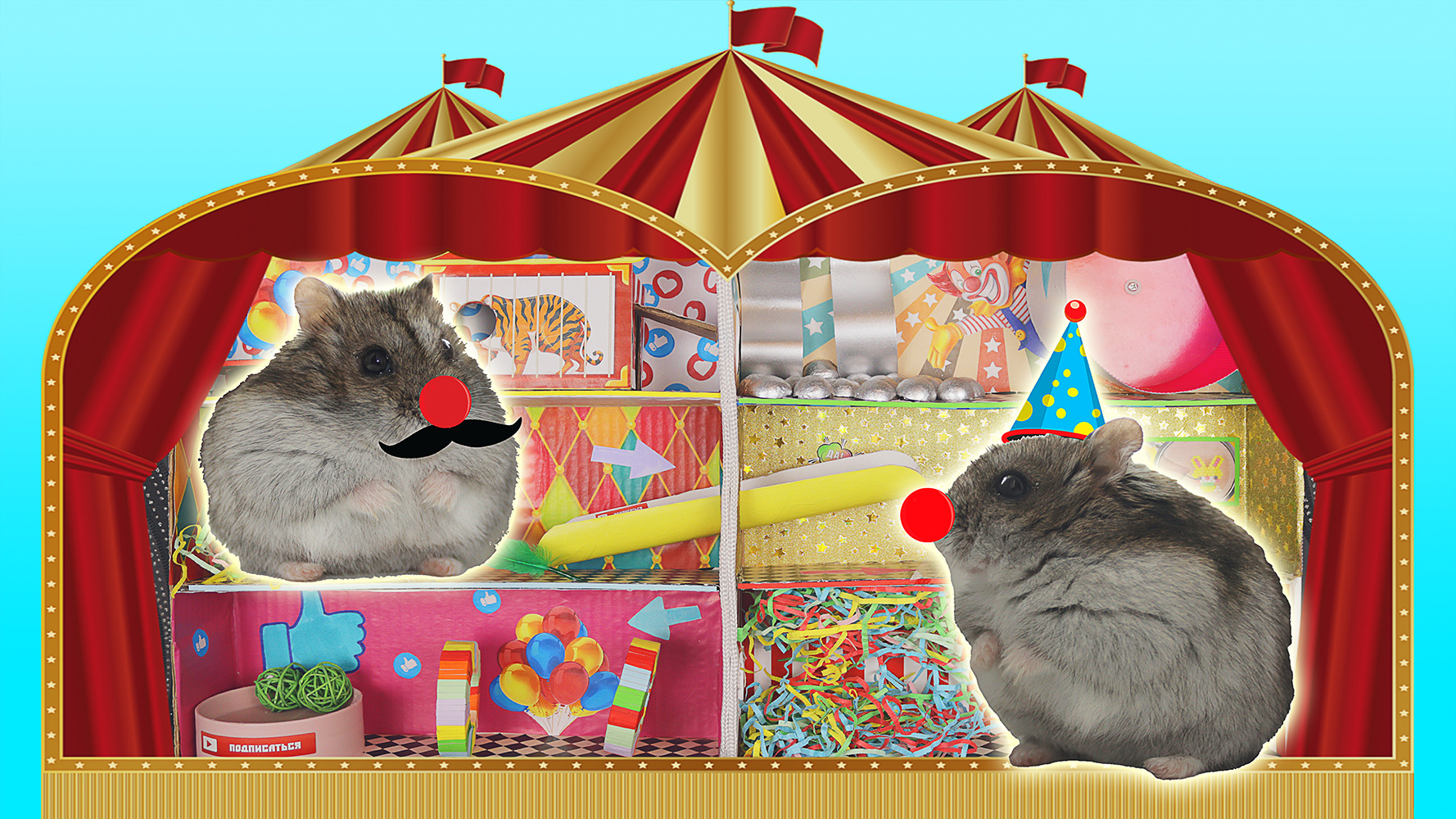 Картонный цирк для хомяков с препятствиями ?/ Hamster maze / Агата класс смотреть онлайн