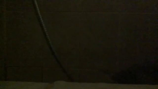 Как помыть кота? Самый обычный и лёгкий способ. смотреть онлайн